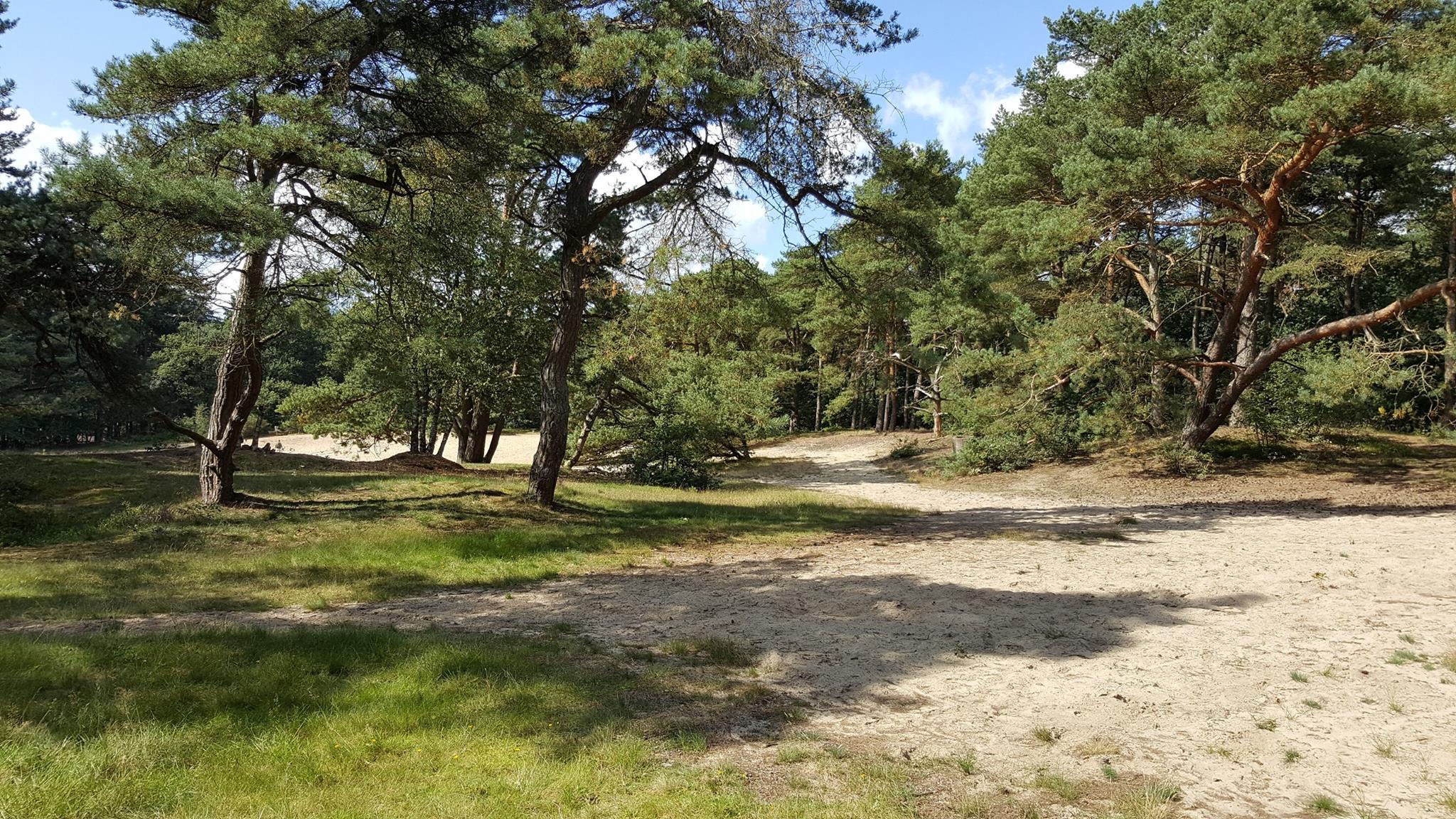 Omgeving Zuursche Duinen, Steenbergen Omgeving Zuursche Duinen, Steenbergen